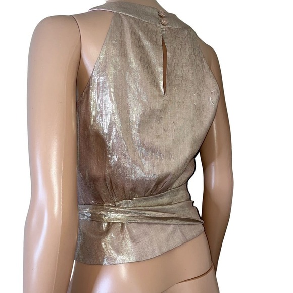 MILLY Women's Metallic Lurex Silk blend Chiffon Lauren Top pink waist tie SZ 0 - Picture 4 of 12